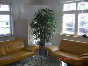 ... und nach den Renovierungsarbeiten.