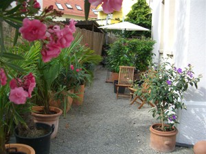 Beispiel Gartengestaltung